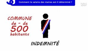 Comment le salaire des maires est-il déterminé ? - Les pourquoi des municipales