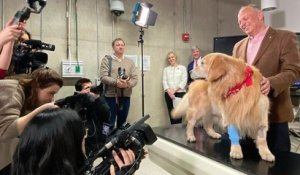 Cet homme achète une annonce du Super Bowl de 6 millions de dollars pour remercier les vétérinaires qui ont sauvé son chien du cancer