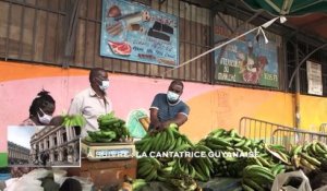 Guyane - La culture du calou