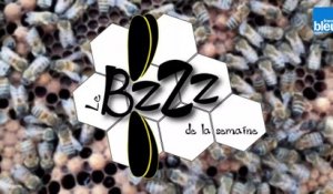 Le Bzzz de la semaine 36 - Les abeilles craignent-elles l'eau?