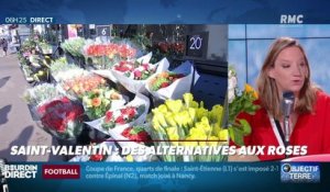 Objectif Terre : Saint-Valentin, des alternatives aux roses - 14/02