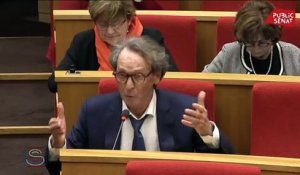 « Même avec du Doliprane j’aurais du mal à voter le Ceta. » (Martial Bourquin)