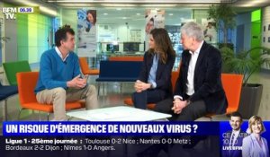 Un risque d'émergence de nouveaux virus ? - 16/02