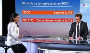 Météo : les températures de février exceptionnellement douces en France