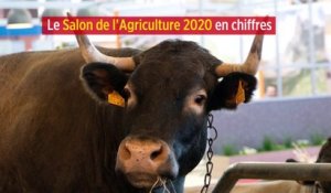 Le Salon de l'Agriculture 2020 en chiffres