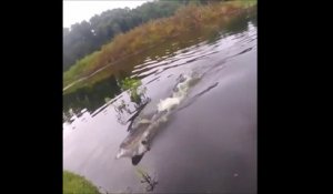 Un crocodile affamé sort de l'eau pour voler la prise de ce pecheur