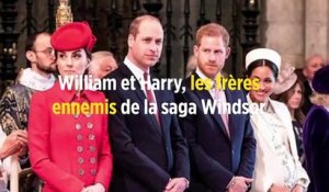 William et Harry, les frères ennemis de la saga Windsor