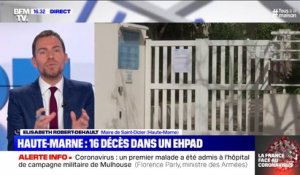Coronavirus: 16 décès dans deux Ehpad de Haute-Marne, apprend-on d'Elisabeth Robert-Dehault, maire de Saint-Dizier