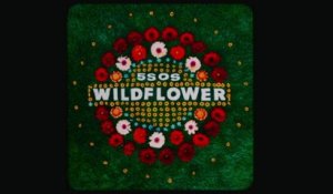 5 Seconds of Summer - Wildflower