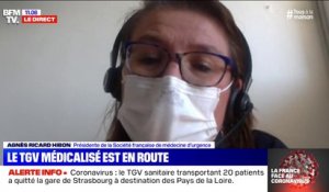 Selon la Société française de médecine d'urgence, l'Ile-de-France "devrait être mieux armée" que la région Grand Est pour faire face à l'afflux de malades