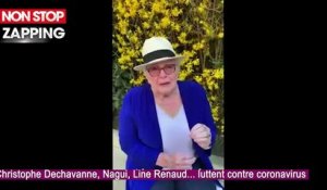 Coronavirus : Christophe Dechavanne, Nagui, Line Renaud… Leur message fort pour lutter contre le virus (Vidéo)