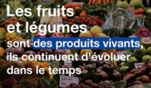 Confinement: Comment bien conserver ses aliments ?