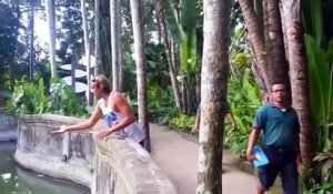 Un orang-outan et un touriste s'échangent des petits cadeaux