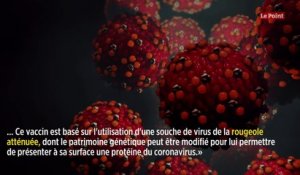 « Les premiers résultats d'efficacité d'un vaccin contre le coronavirus pour fin mai »