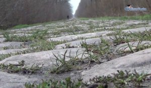 La Rétro Jean-Mi - Paris-Roubaix et sa trouée Wallers-Arenberg aux 275 000 pavés