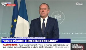 Cantine : Didier Guillaume (ministre de l'Agriculture) pense qu'il "faudra aider les familles les plus modestes"