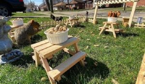 Confinement : il crée un mini restaurant en bois pour les écureuils et les oiseaux vivant près de chez lui