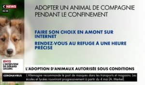 L’adoption d’animaux autorisée sous conditions