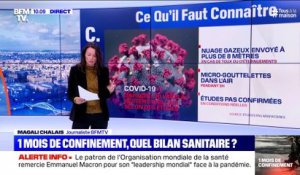 Un mois de confinement, quel bilan sanitaire ? (2) - 17/04