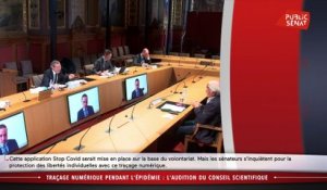 Traçage numérique pendant l'épidémie: audition de Jean-François Delfraissy, président du conseil sci - Les matins du Sénat (31/03/2020)