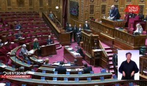 22.04.2020 - Questions au Gouvernement (22/04/2020)