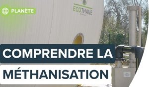 Méthanisation : comment une station d'épuration transforme ses déchets en énergie verte ? | Futura