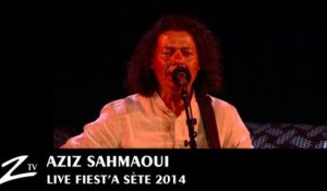 Aziz Sahmaoui - Yasmine - Festival Fiest'A Sète 2014 - LIVE HD