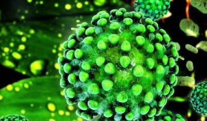 Coronavirus : de nouvelles suspicions d'une forme grave chez les enfants
