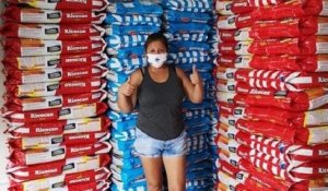 Une entreprise péruvienne fait don de 15 tonnes de nourriture à 2500 animaux sans abris