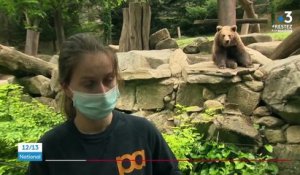 Hautes-Pyrénées : la vie confinée des animaux du zoo d’Argelès-Gazost