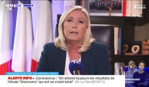 Marine Le Pen estime que "M. Castaner ferait mieux de s'occuper de la sécurité publique plutôt que d'émettre des commentaires" à son égard