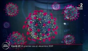 Coronavirus : y a-t-il eu un cas en France dès le mois de décembre ?