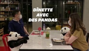 Ce restaurant utilise des pandas en peluche pour la distanciation sociale