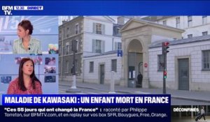 Maladie de Kawasaki: un enfant de 9 ans meurt à Marseille