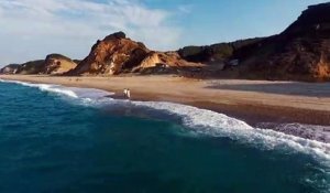 Drone view - couple on beach shore