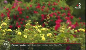 À la découverte du parc de la Tête d'or, le poumon vert de Lyon