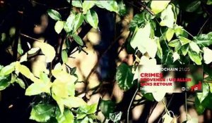 INEDIT - Ce soir à 21h05, "Crimes" sur NRJ12: Jean-Marc Morandini raconte trois affaires qui se sont déroulées en Provence - VIDEO