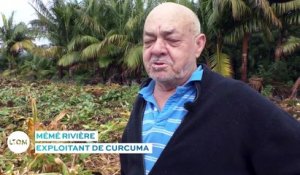 La Réunion : Le roi du curcuma