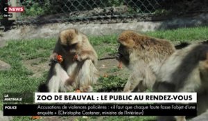 Zoo de Beauval : le public au rendez-vous