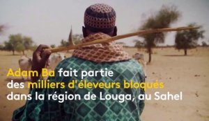 Sénégal : les éleveurs peuls durement touchés par les mesures sanitaires