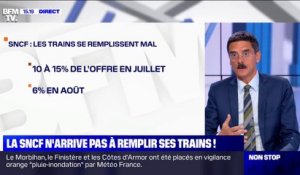 Vacances d'été : la SNCF peine à remplir ses trains
