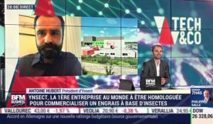 Antoine Hubert (Ÿnsect) : Ÿnsect, la première entreprise au monde à être homologuée pour commercialiser un engrais à base d’insectes - 17/06