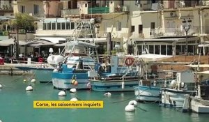Corse : pas de touristes, pas de travail
