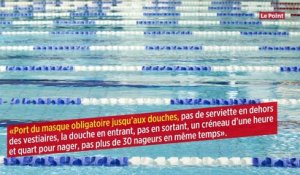 Goût du chlore : la piscine, une passion française