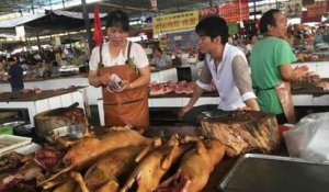 Chine : malgré l'interdiction de manger de la viande de chien et de chat, le festival de Yulin vient d'ouvrir ses portes