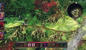 Divinity Original Sin 2 - Definitive Edition