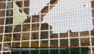 Eure-et-Loir : un couple recueille et soigne des animaux abandonnés