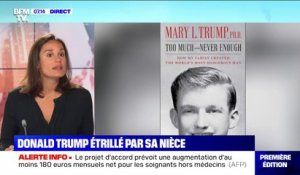 Planète Ashley - Donald Trump étrillé dans un livre écrit par sa nièce