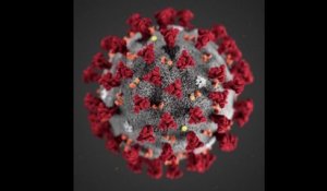 Coronavirus: y aura-t-il une deuxième vague en France ?