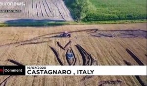 Le portrait de Joe Biden... dans un champ de blé en Italie